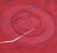 HAITI 22/23 AUTHENTIC RED JERSEY #6